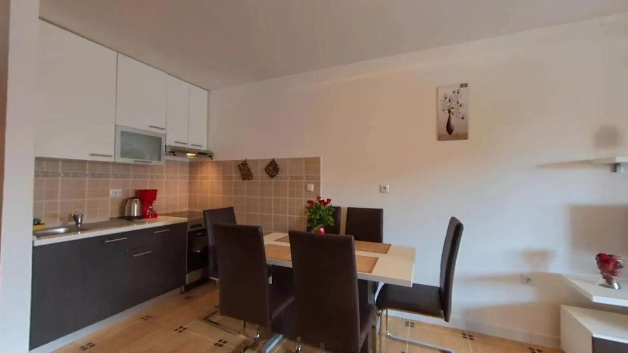Apartments Dario Medulin